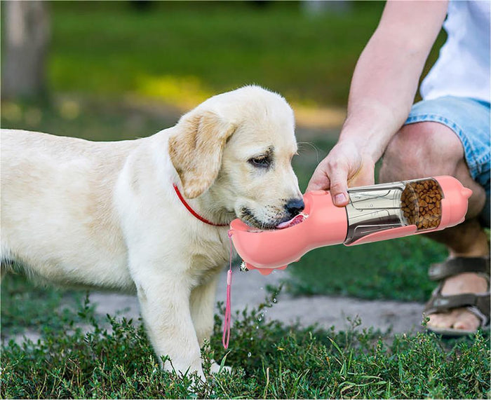 Feeding Essentials