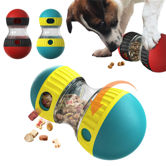 Play & Enrichment